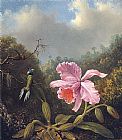 Martin Johnson Heade Fighting Hummingbirds with Pink Orchid painting